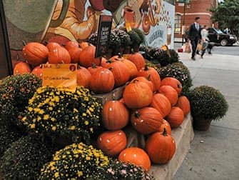 Halloween In New York 2020 Newyork Nl